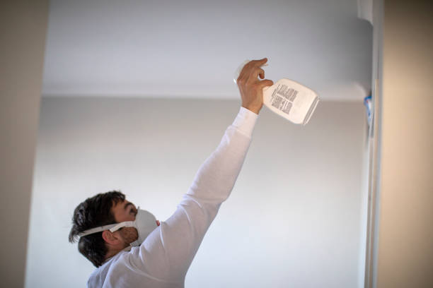 Best Home Mold Removal  in Bloomgton, IN