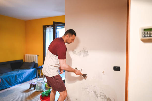 Best Mold Remediation  in Bloomgton, IN